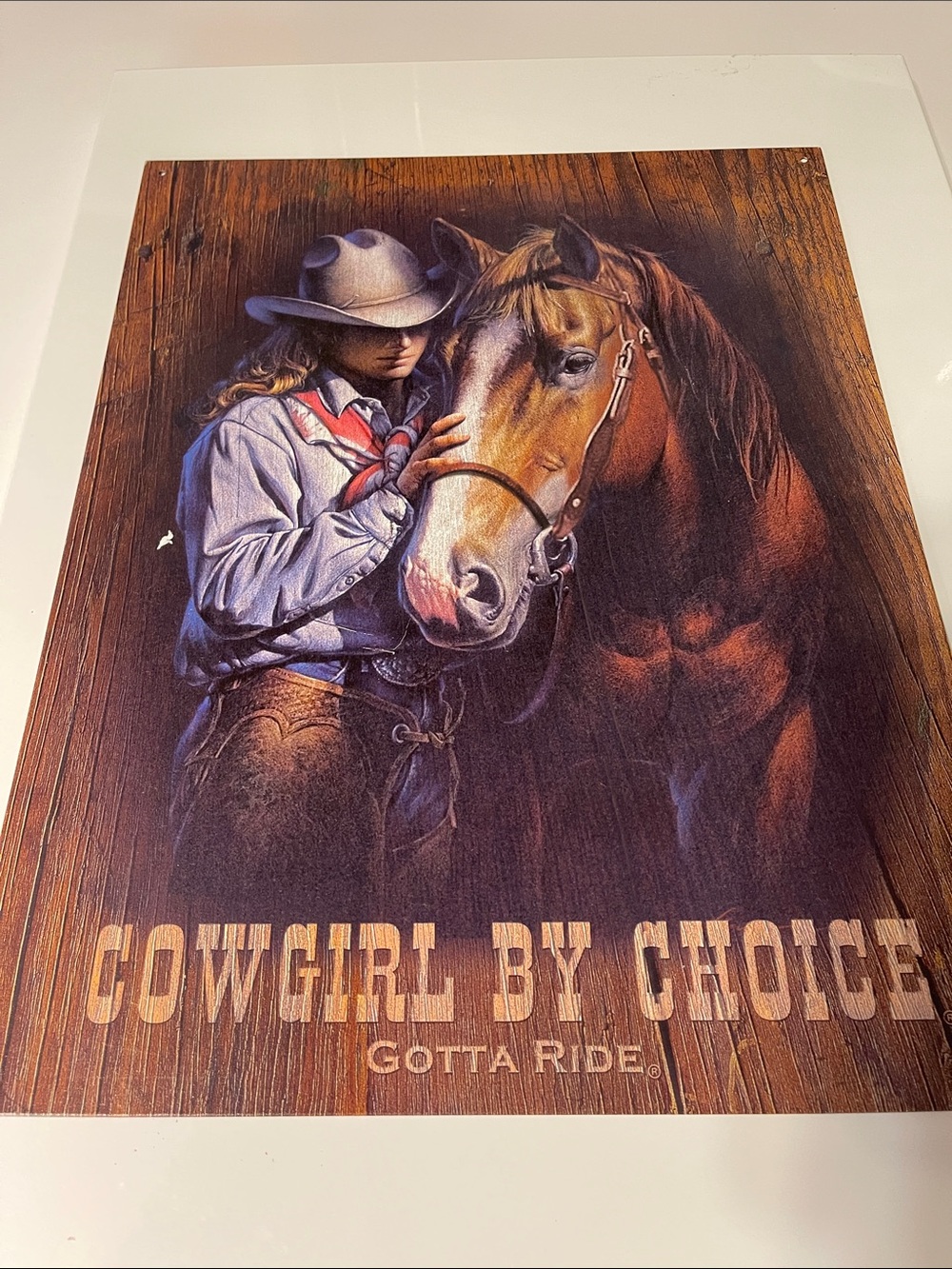 Cowgirl by Choice Tin Wall Art Brown & Blue Rustic Horse Print Made in the USA